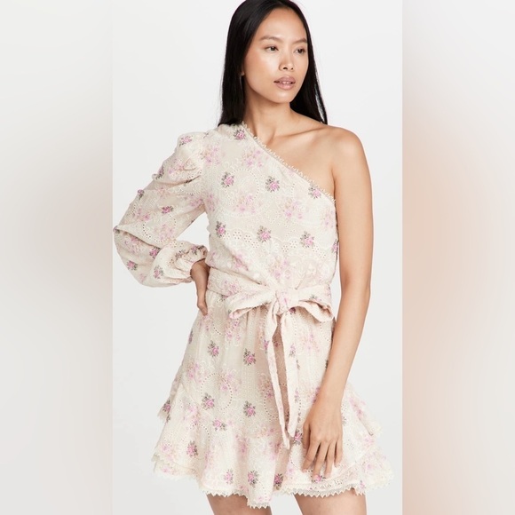 NWT Hemant & Nandita One Shoulder Ivory & Pink Embroidered Mini Dress, Large - Picture 1 of 9